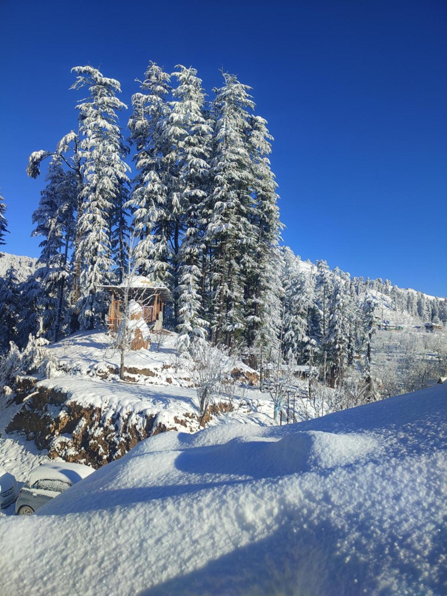 Norvin Homes Shimla Exterior photo